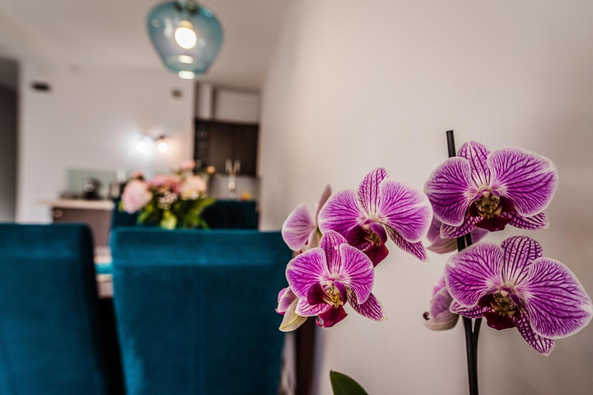 Apartamenty Widok Szczawnica Luaran gambar